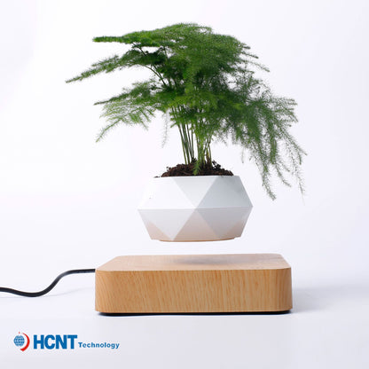 Levitating Plant