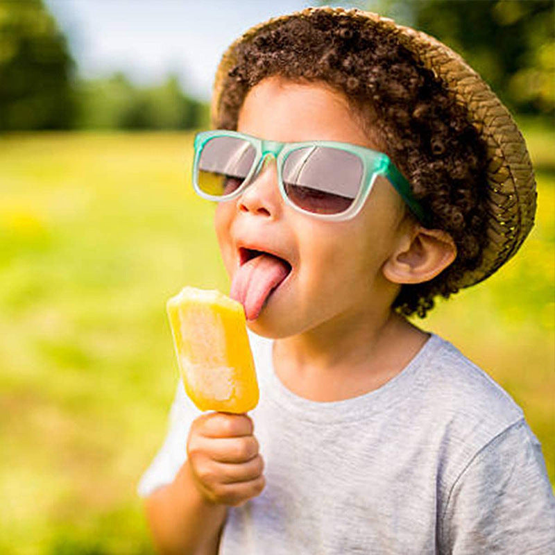 Popsicle Ice Cream Maker